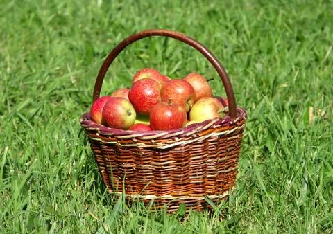 Apple in basket Stock Photos