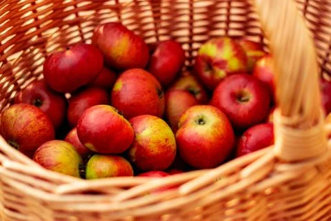 Apple Basket Stock Photos
