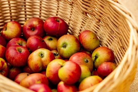 Apple Basket Stock Photos