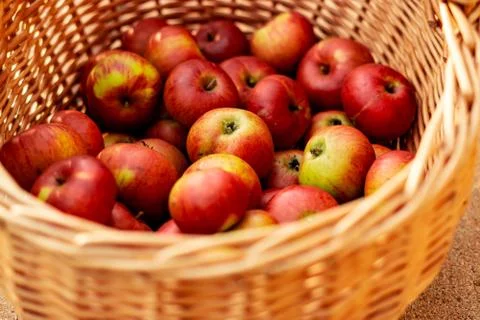 Apple Basket Stock Photos
