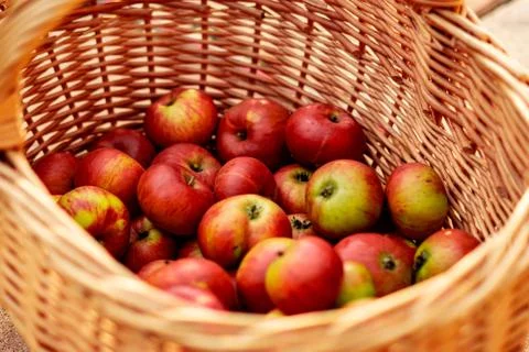 Apple Basket Stock Photos