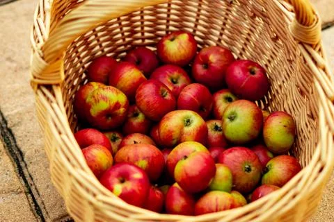 Apple Basket Stock Photos