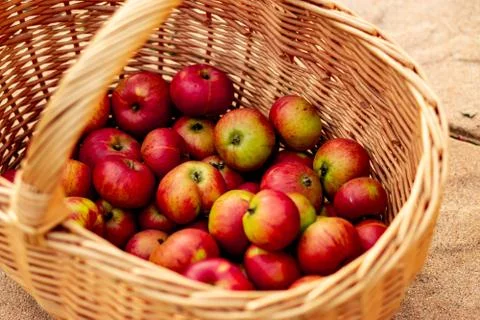Apple Basket Stock Photos