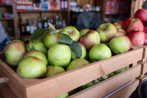 Apple batch box for the production of cider Stock Photos
