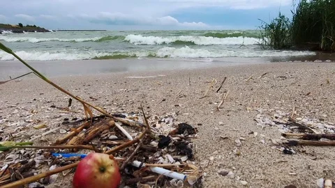 Apple on the beach or Stavoren Video stock 116302282