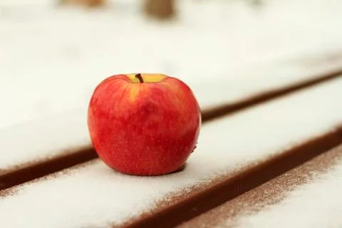 Apple on a bench in winter Stock Photos