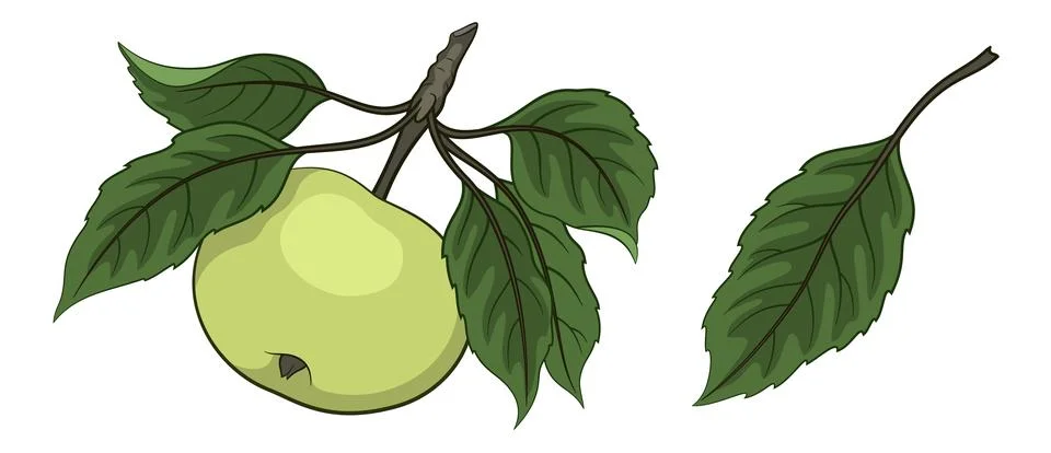Apple Black Contours Stock Illustration