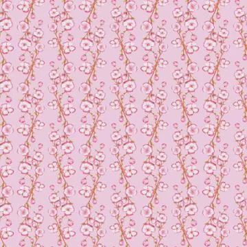 Apple blossom Stock Illustration