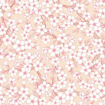 Apple blossoms Stock Illustration