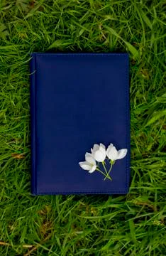 Apple blossoms lying on a Dark blue leather notebook on the green grass Stock Photos
