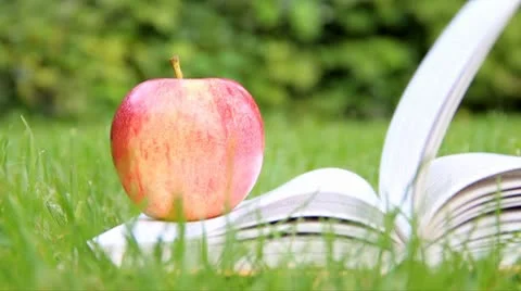 Apple with Book - Variant 1 스톡 동영상 8972934
