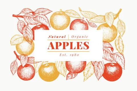 Apple branch design template. Hand drawn vector garden fruit illustration. En Stock-Illustration