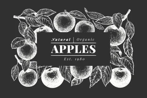 Apple branch design template. Hand drawn vector garden fruit illustration on  Stock Illustration