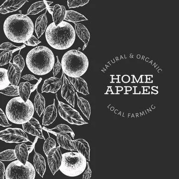 Apple branch design template. Hand drawn vector garden fruit illustration on  Stock Illustration