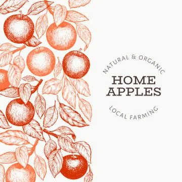 Apple branch design template. Hand drawn vector garden fruit illustration. En Stock Illustration