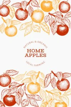Apple branch design template. Hand drawn vector garden fruit illustration. En Illustrazione stock
