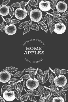 Apple branch design template. Hand drawn vector garden fruit illustration on  Stock Illustration