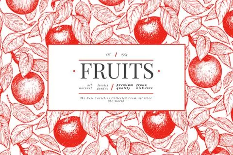 Apple branch design template. Hand drawn vector garden fruit illustration. En Stock Illustration