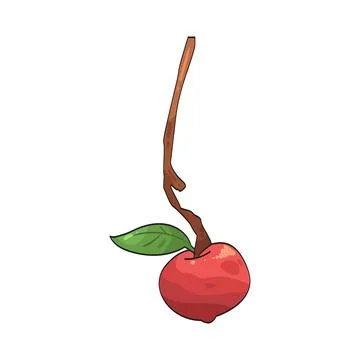 Apple branch illustration Stock Illustration