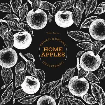 Apple branche design template. Hand drawn vector garden fruit illustration on Stock Illustration