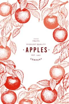 Apple branches design template. Hand drawn vector garden fruit illustration.  Stock Illustration