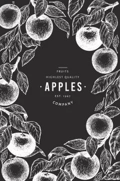 Apple branches design template. Hand drawn vector garden fruit illustration o Stock Illustration