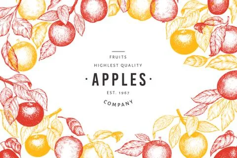 Apple branches design template. Hand drawn vector garden fruit illustration.  Stock Illustration