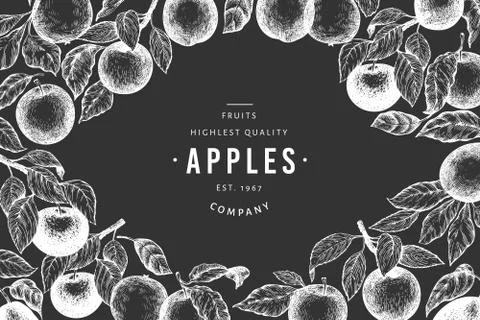 Apple branches design template. Hand drawn vector garden fruit illustration o Stock Illustration