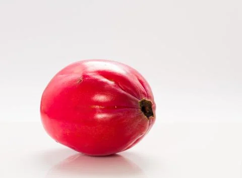Apple cactus . Stock Photos