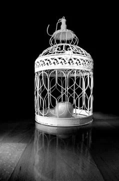 Apple in a cage and dark background Stock Photos