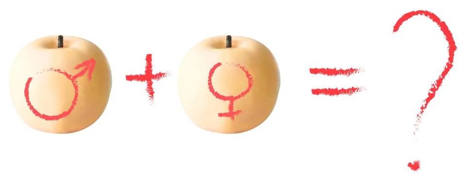 Apple calculation   - vector illustration Stock Illustration