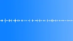 Apple Chewing 01 Sound Effect