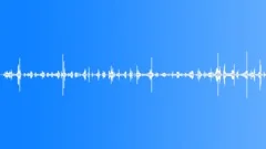 Apple Chewing 02 Sound Effect