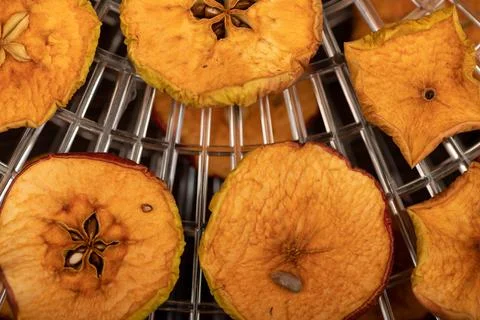 Apple chips on the grill of the dryer, close-up, selective focus. Stock Photos
