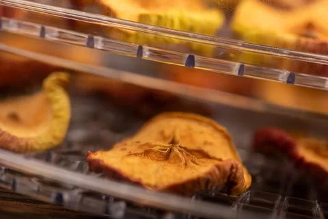 Apple chips on the grill of the dryer, close-up, selective focus. Stock Photos