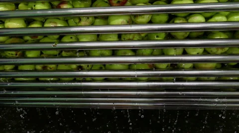 Apple Cider production 動画素材 54717322