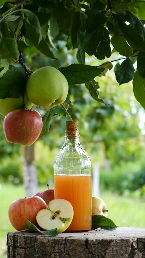 Apple cider vinegar in the garden. Selective focus. Stock Footage 306093138