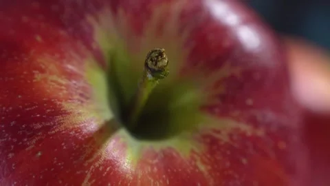 Apple Close-Up 4K Slow Motion Video Stock Footage 323067687