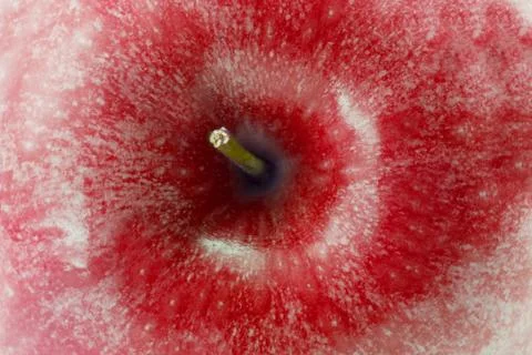 Apple close up Stock Photos
