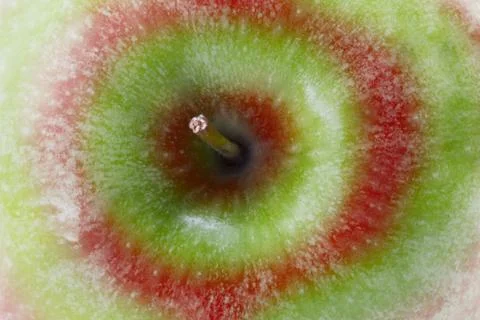 Apple close up Stock Photos