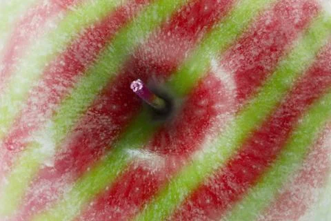 Apple close up Stock Photos
