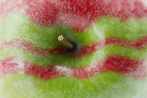 Apple close up Stock Photos