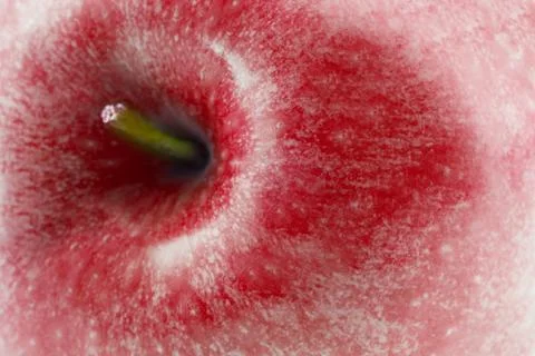 Apple close up Stock Photos