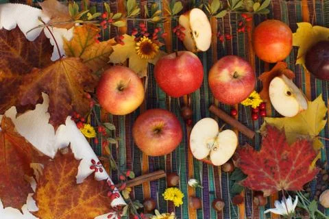 Apple composition Stock Photos