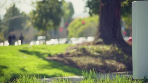 Apple Computer Sign Exterior Silicon Valley Stock Footage 70874377