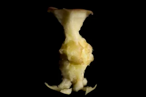 Apple Core on Black Stock Photos