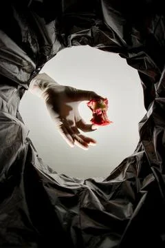 Apple core disposal Stock Photos