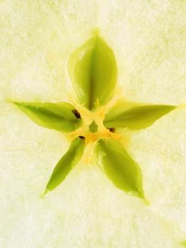 Apple core extremal close-up Foto stock