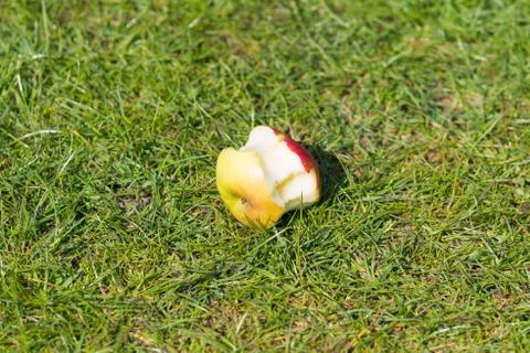 Apple core on the grass Foto stock