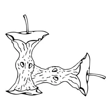 Apple core icon. Vector illustration of an eaten apple. Hand drawn apple core Stock Illustration